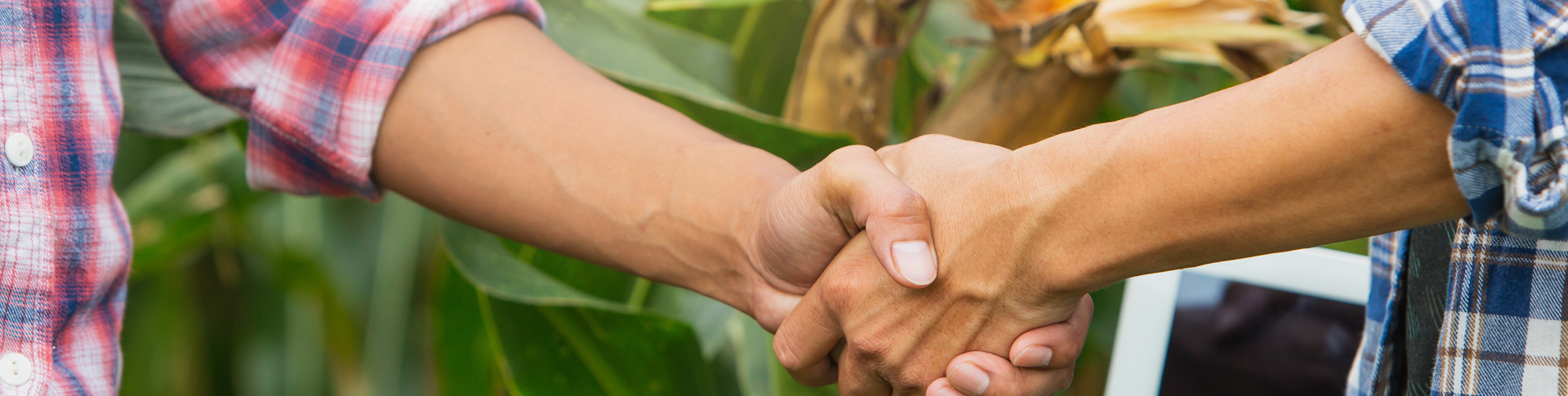 people shaking hands